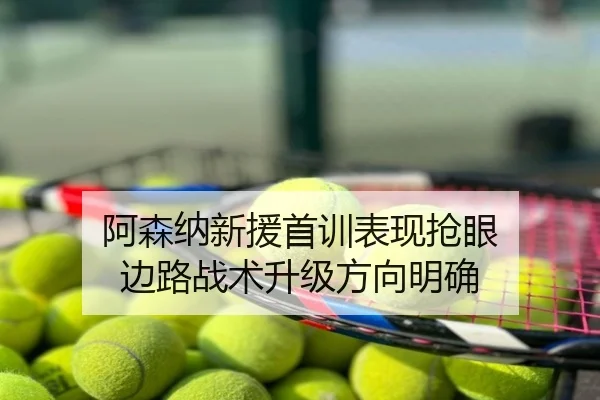 阿森纳新援首训表现抢眼 边路战术升级方向明确
