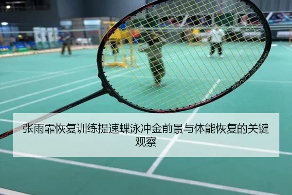 张雨霏恢复训练提速蝶泳冲金前景与体能恢复的关键观察