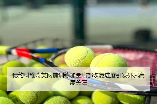 德约科维奇美网前训练加量肩部恢复进度引发外界高度关注